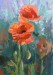 Poppies 4.jpg